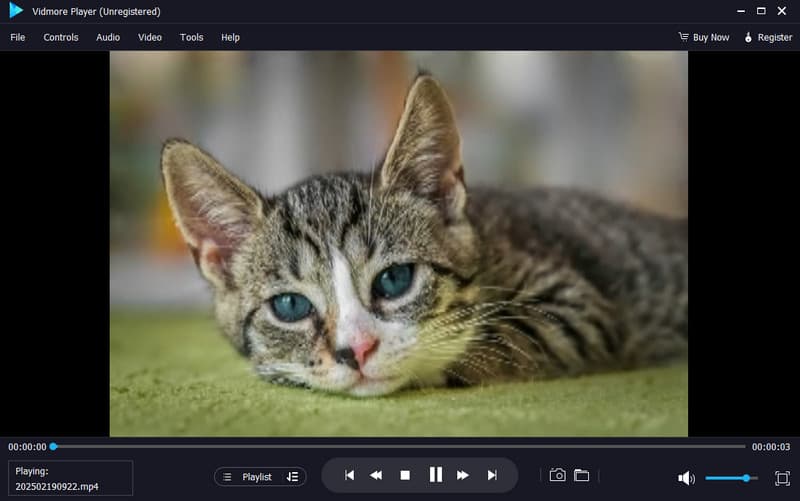 動画を見る  Vidmore