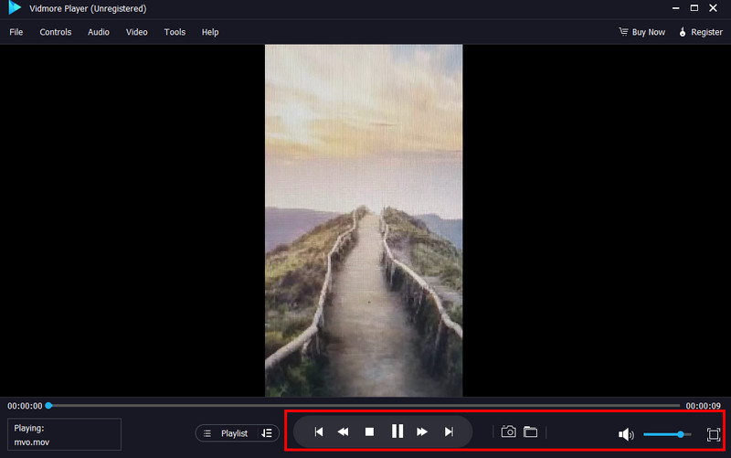 動画を見る  Vidmore