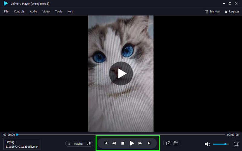 Play The File Vidmore